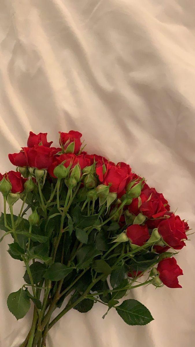 Eternal Embrace Tender Blooms Array